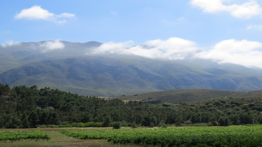 9 Bedroom Property for Sale in Swellendam Rural Western Cape